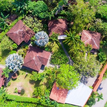 Casa Marcellino Lodge Cahuita Exterior photo