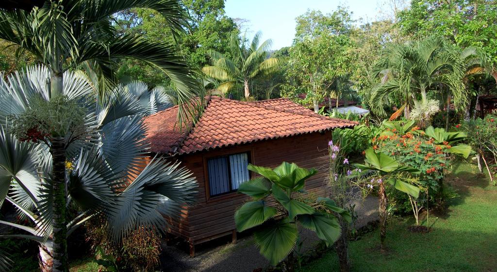 Casa Marcellino Lodge Cahuita Exterior photo