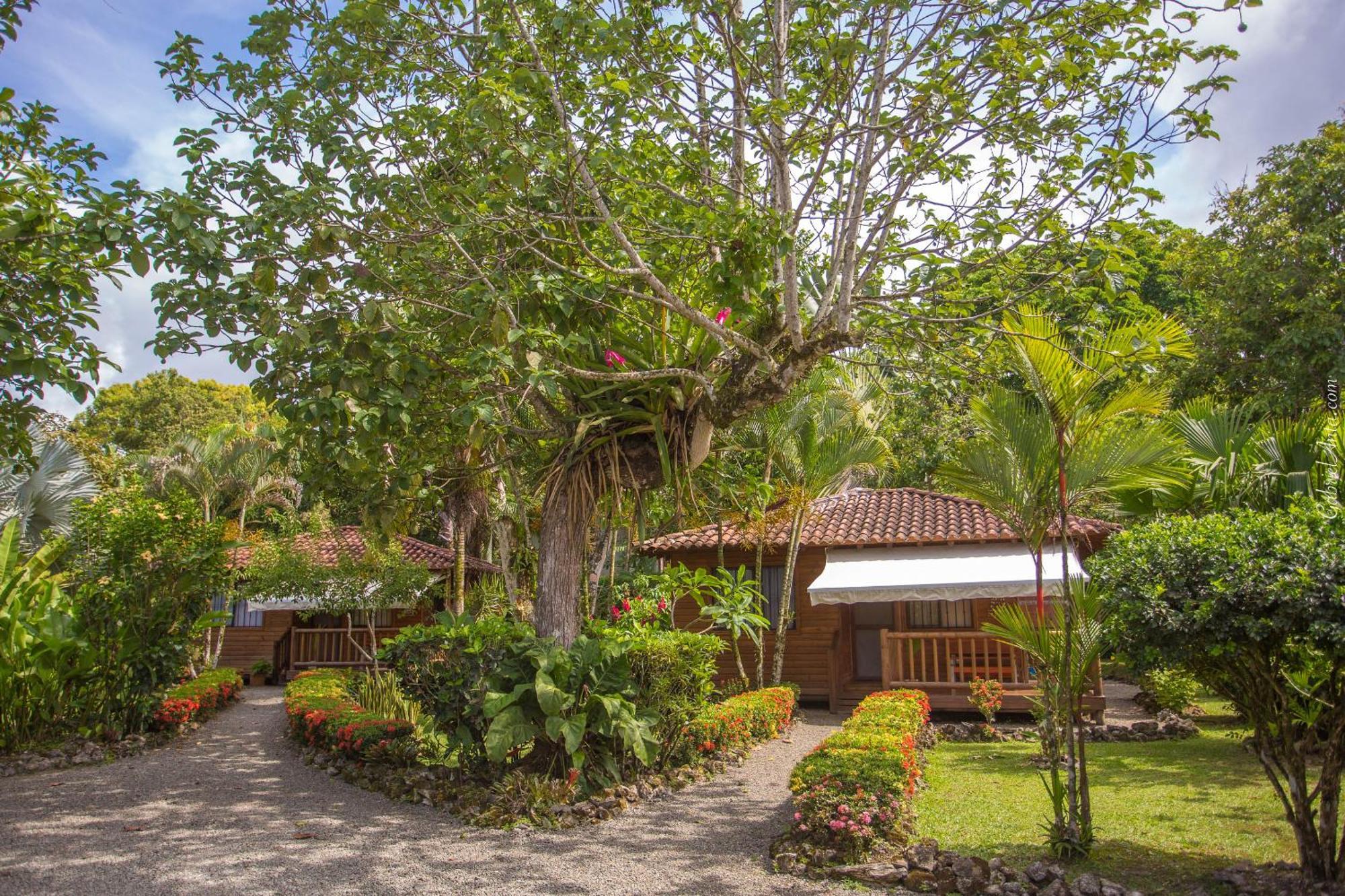 Casa Marcellino Lodge Cahuita Exterior photo
