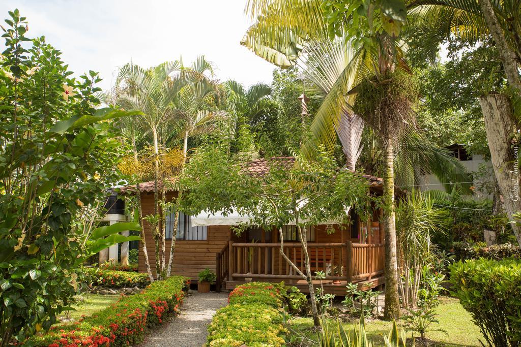 Casa Marcellino Lodge Cahuita Exterior photo
