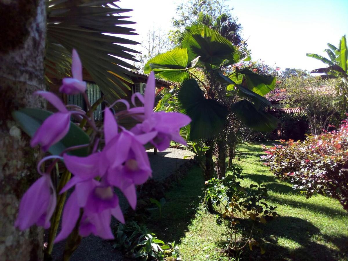Casa Marcellino Lodge Cahuita Exterior photo